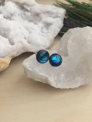 Blue Abalone Earrings on Surgical Steel posts