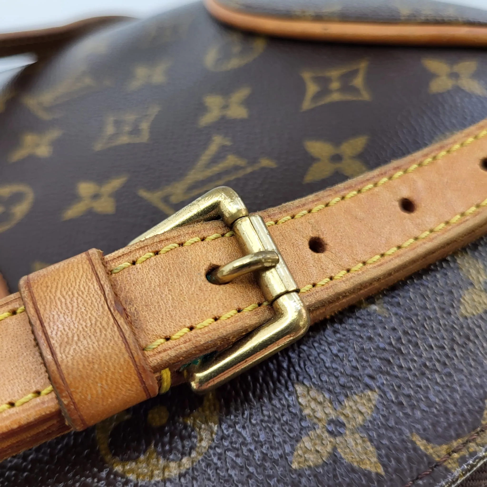 Ellipse Backpack