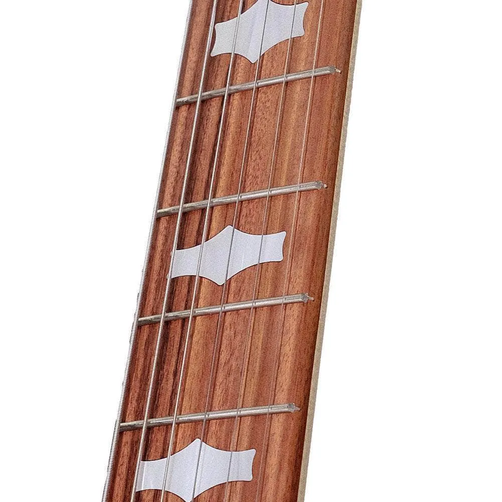 Goodtime Six-R 6 String Banjo
