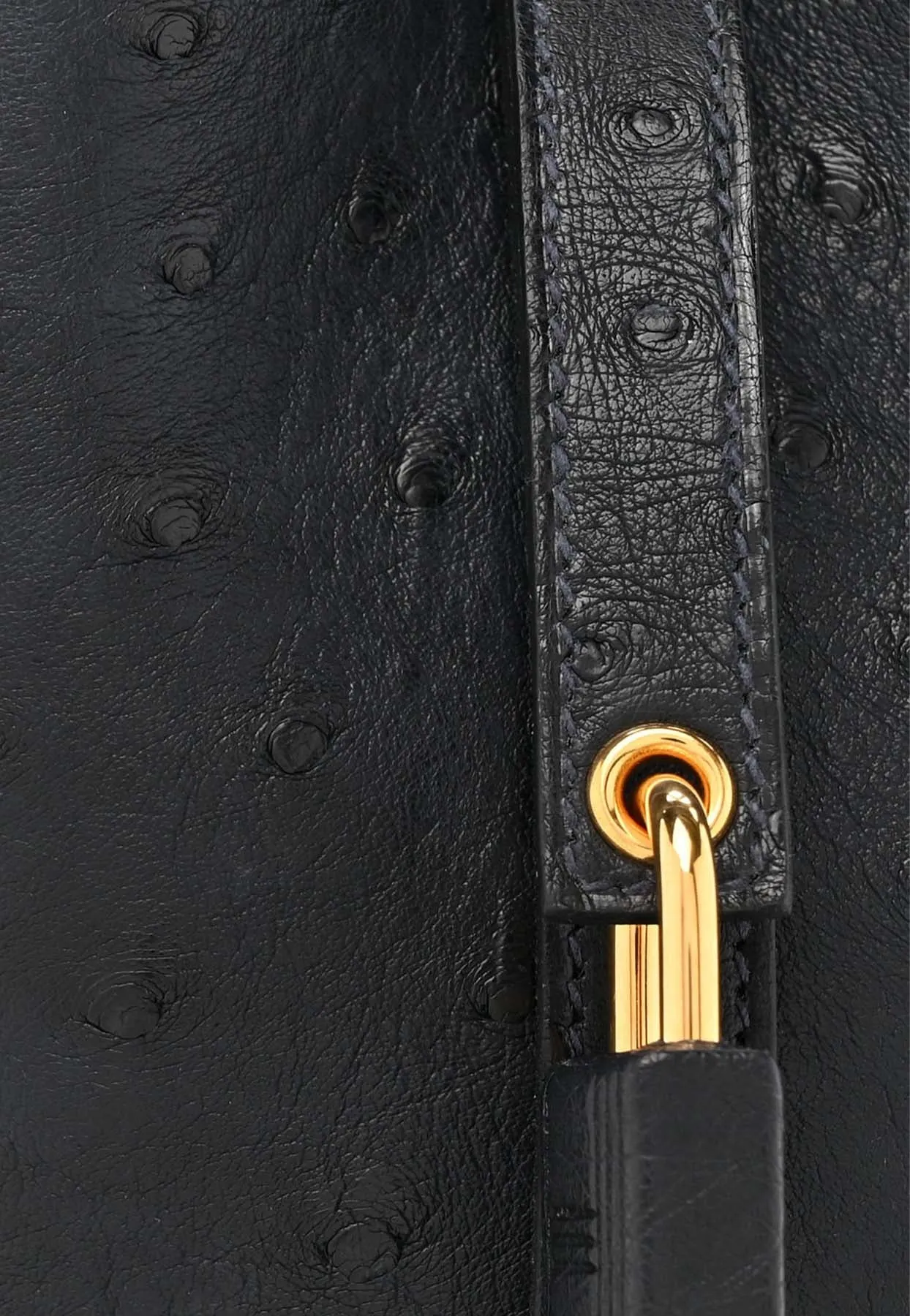Micro Picotin Lock 14 in Caban Ostrich with Gold Hardware